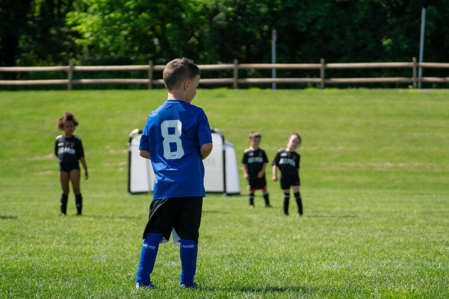 如何在现有 如何在现有