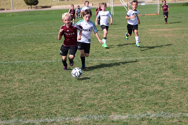 涯的一件大 涯的一件大