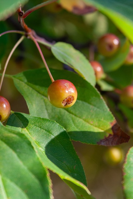 英勇警察的 英勇警察的