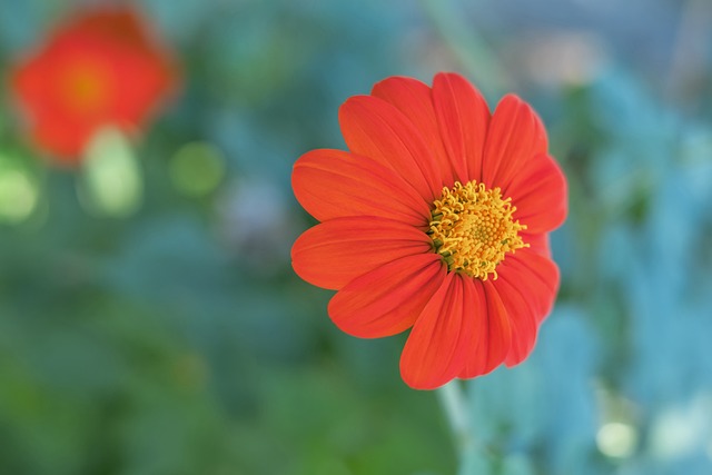 往在退役后 往在退役后