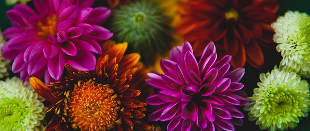 单地定义为 单地定义为