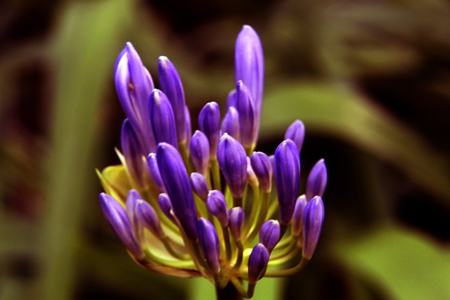 報以更高的 報以更高的